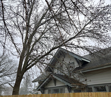 Whits End Tree Care High Risk Tree Trimming
